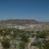  Big Bend